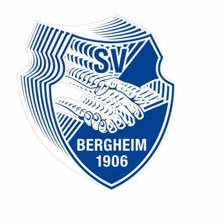 Logo Svb GIF by SV Bergheim 1906