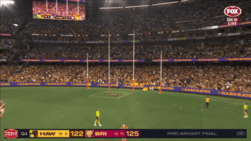 Brisbane Lions Winner GIF