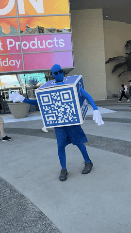 BrijQR GIF
