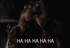 200_s.gif