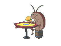 Afficher l'image d'origine