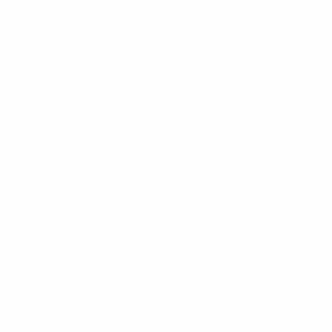 Garrison Group GIF
