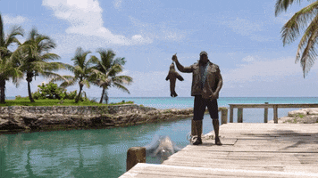shaquille o'neal wow GIF by Shark Week
