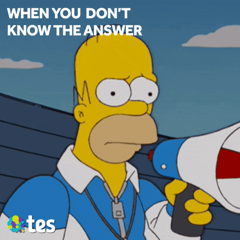 simpsons homer GIF by Tes