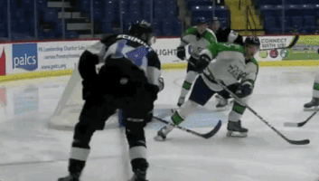 Reading Royals 2018.11.7 GIF