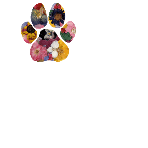 Flowers Paws Sticker