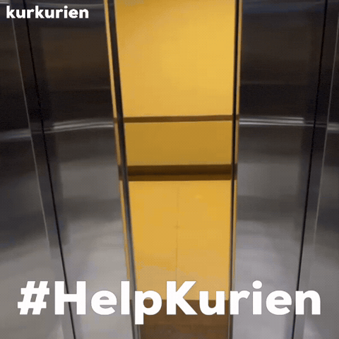 Outstation GIF