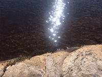 Loop Sparkling GIF by Justin