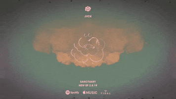 pink color GIF by Blossöm Records