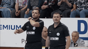 slovakhandball GIF