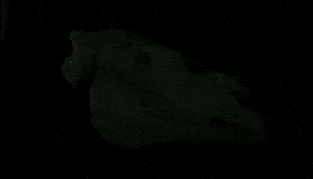 Horse Sculpture GIF by studio-vpr