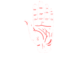 Nulla Sticker by nulla_studio