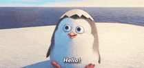 Movie gif. A newly hatched baby Private from Penguins of Madagascar, still wearing the top of his eggshell on his head, gives us a friendly wave as he says: Text, "Hello!"