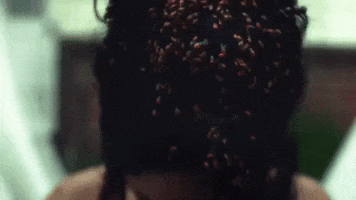 200.gif?cid=fc005b08560fe34f7f1f0b565e8df73fa84e30f3859f0c15&rid=200.gif&ct=g
