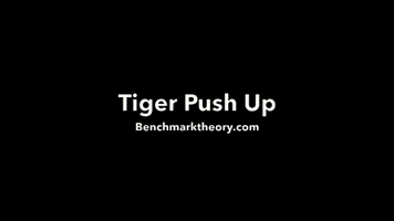 Bmt- Tiger Push Up GIF by benchmarktheory