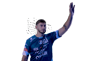 Mhb Sticker by Montpellier Handball