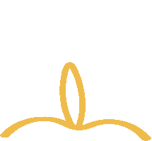 Yellow Sticker