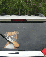 Dog Waving GIF by WiperTags Wiper Covers