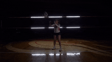 MSUMDragons volleyball dragons vo msum GIF