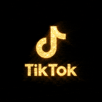 Tik Tok Tiktok Logo GIF by Cristiam Oliveira