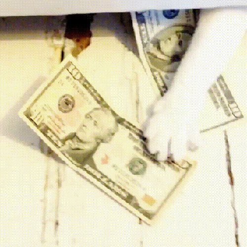 Cat Money GIF - Find & Share on GIPHY