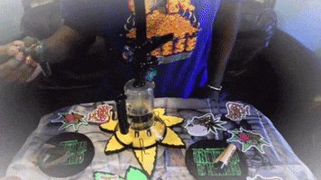 Smoke Cannabis GIF by The Higher Content