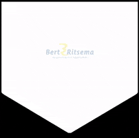 Bert Ritsema Verzekeringen & Hypotheken GIF