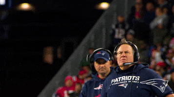 Excited Bill Belichick GIF by New England Patriots