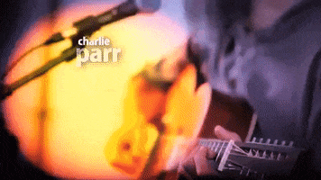 Charlie Parr Dog GIF by White Wall Sessions