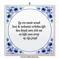 Humor Nl GIF by Tegelspreuken.nl
