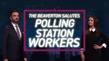 Election Polling Station GIF by The Beaverton
