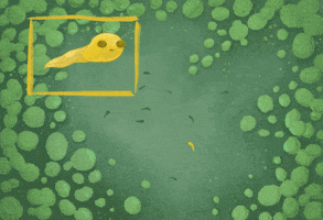 kat-vita green surprise yellow science GIF