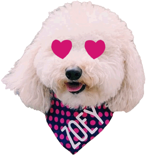 Happy In Love Sticker for iOS & Android GIPHY