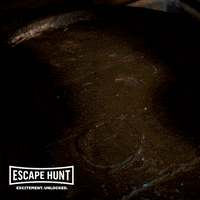 X Marks The Spot Treasure GIF by Escape Hunt UK