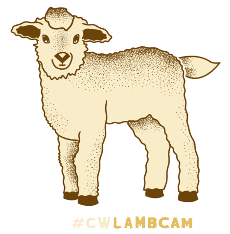 Colonial Williamsburg Sticker