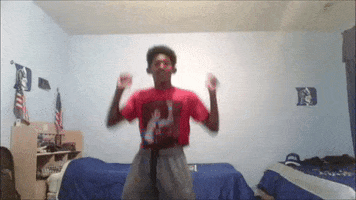 Camofuji GIF