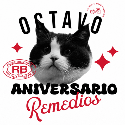 Refill Creativo GIF