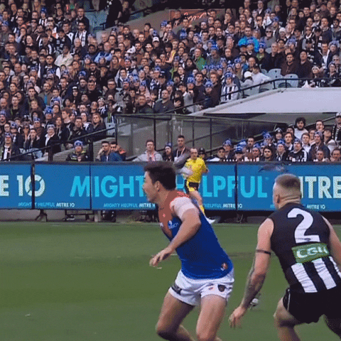 Collingwood Magpies Soccer GIF by CollingwoodFC
