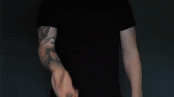Flite GIF