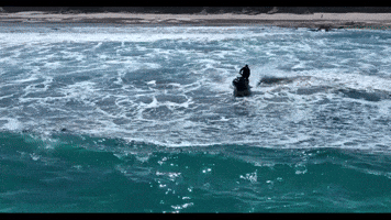 VICSKIRIDERS GIF