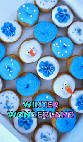 YoYonutz winter donuts doughnuts winter wonderland GIF
