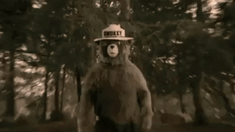 Smokey-bear GIFs - Get the best GIF on GIPHY