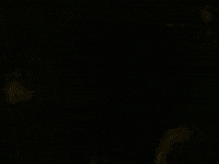 Buju Banton - Untold Stories