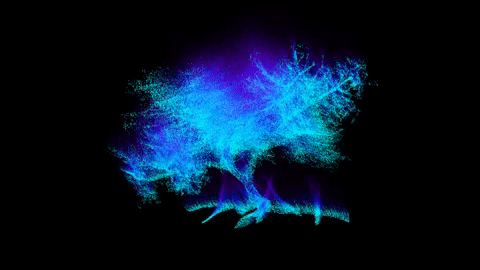 Proyecto Reforestación- to be validated