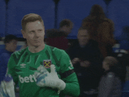 West Ham Hammers GIF by West Ham United