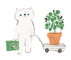 Cat Sticker