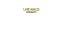 University Taylor Sticker by iamtaylorsimpson