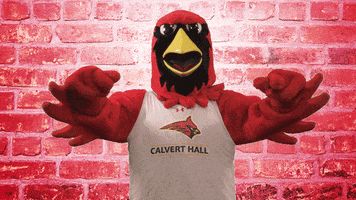 Calvert Hall College High School GIF