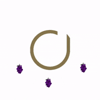 dantewine wine dante GIF