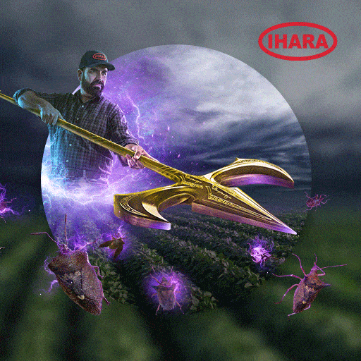 Ihara Spirit Gifs Find Share On Giphy My XXX Hot Girl